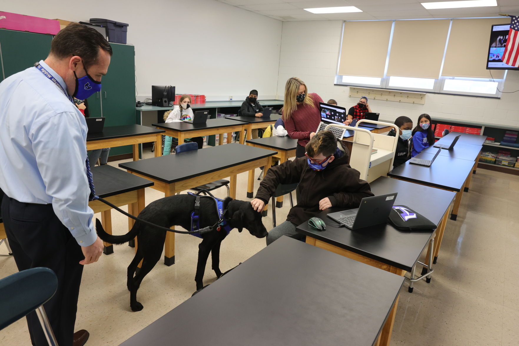 Wally Therapy Dog